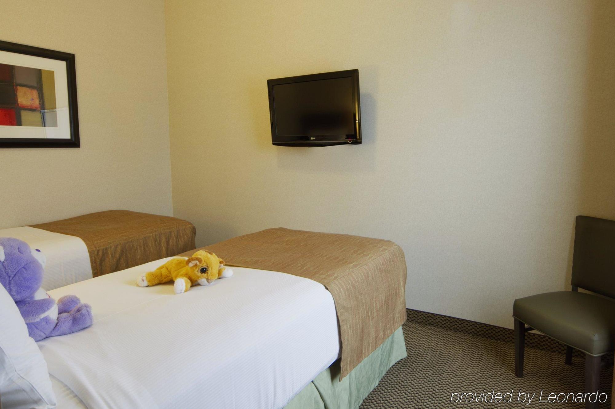 Best Western Wainwright Inn & Suites Oda fotoğraf