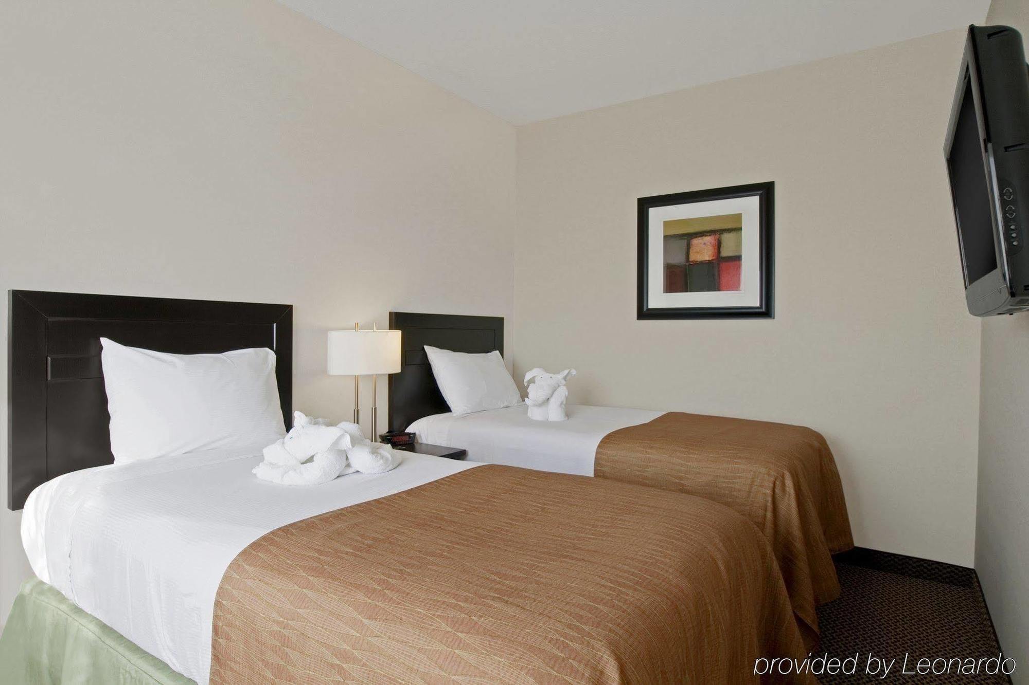 Best Western Wainwright Inn & Suites Oda fotoğraf